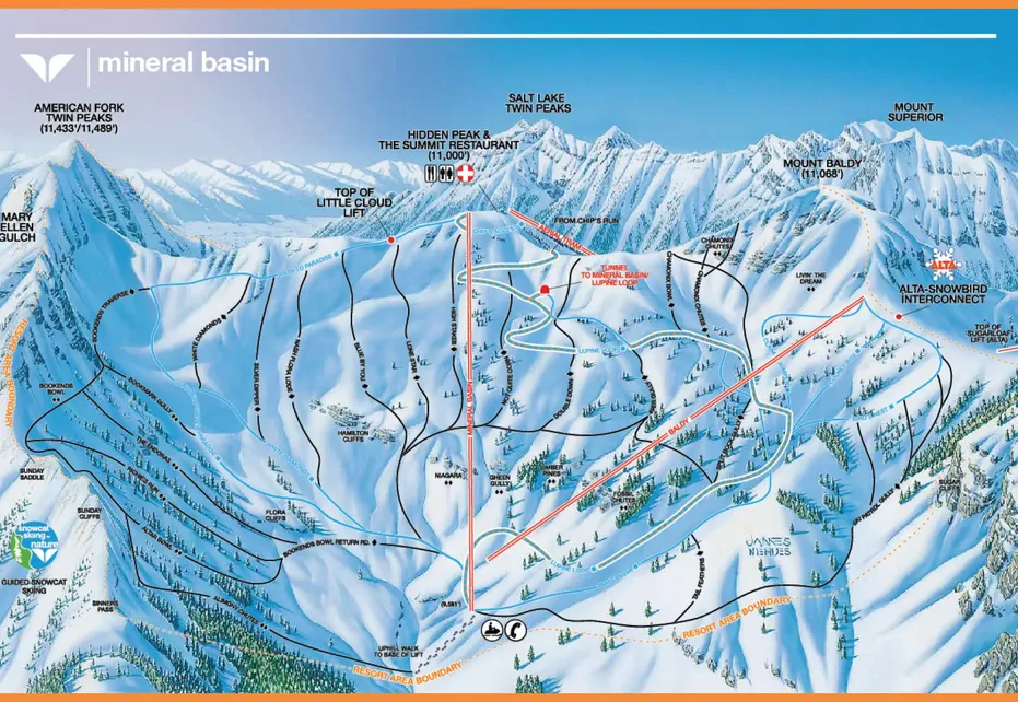 Snowbird Ski  Map - Mineral basin