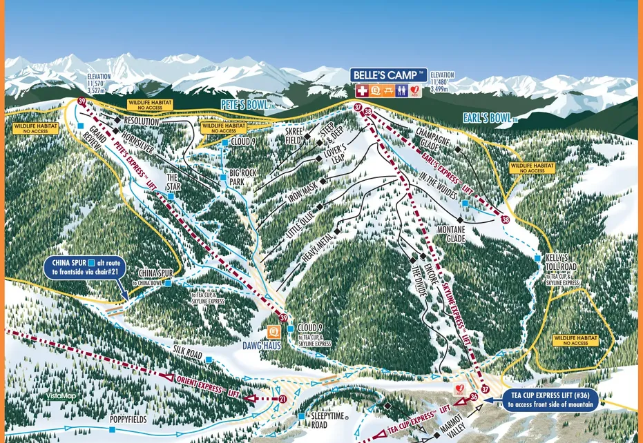 Vail Blue Sky Basin Ski Map